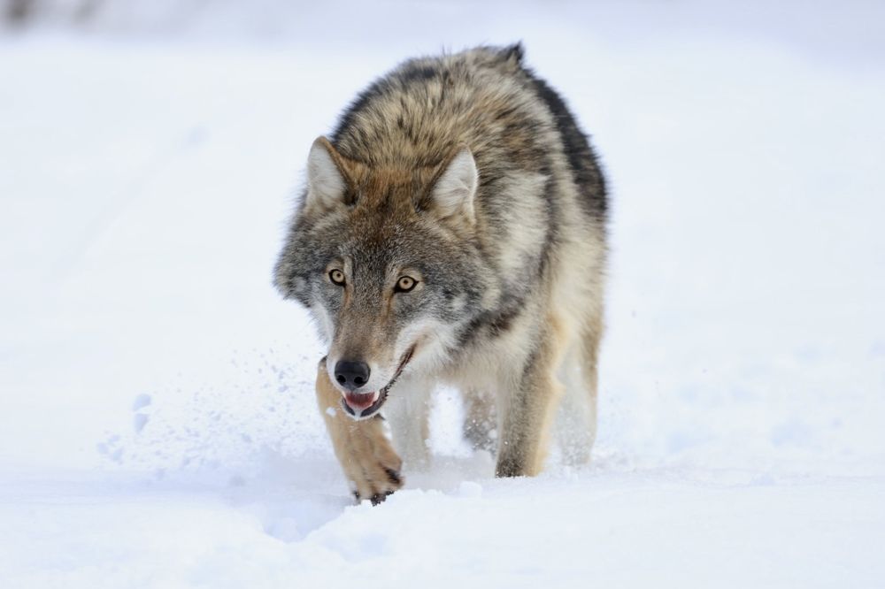 Photograph by Ольга Одаренко