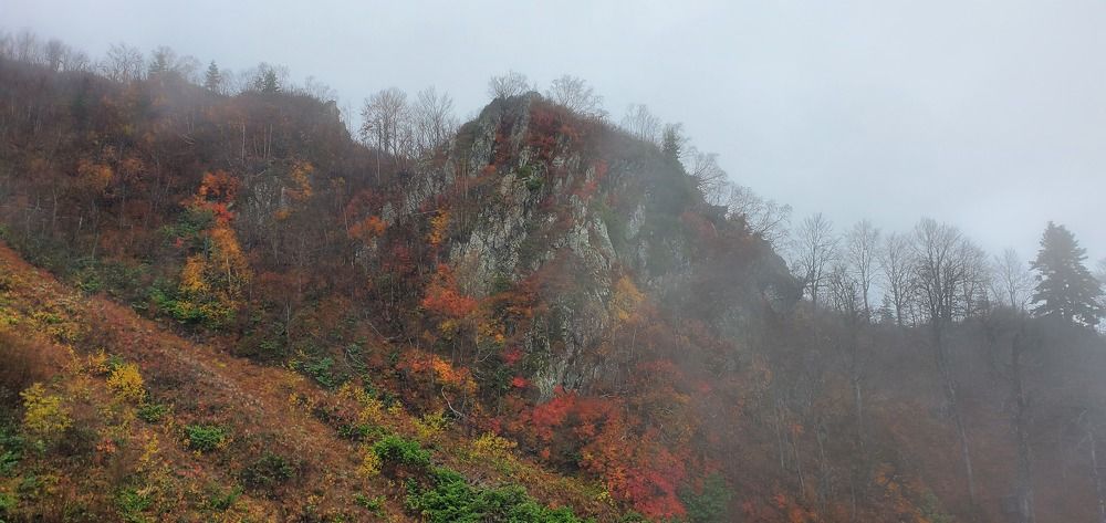 Photo #8915249