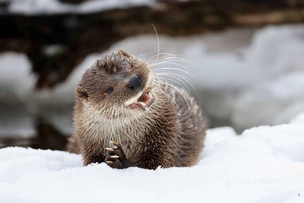 Photograph by Ольга Одаренко