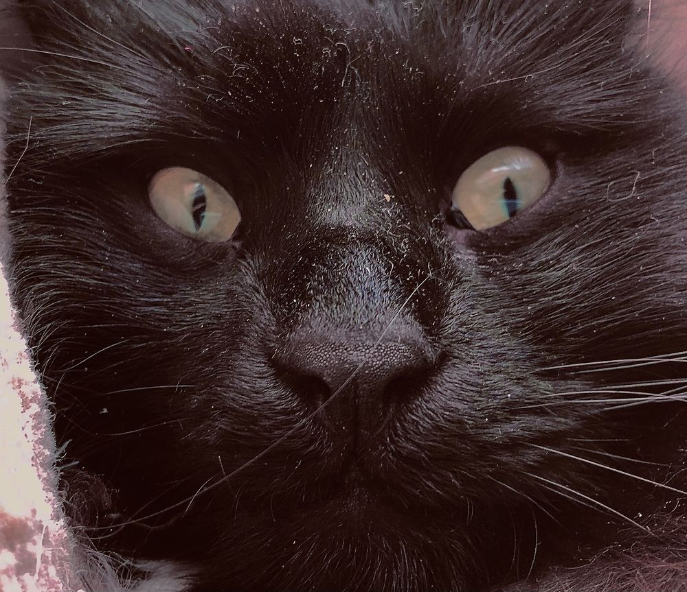 Who woke me up?