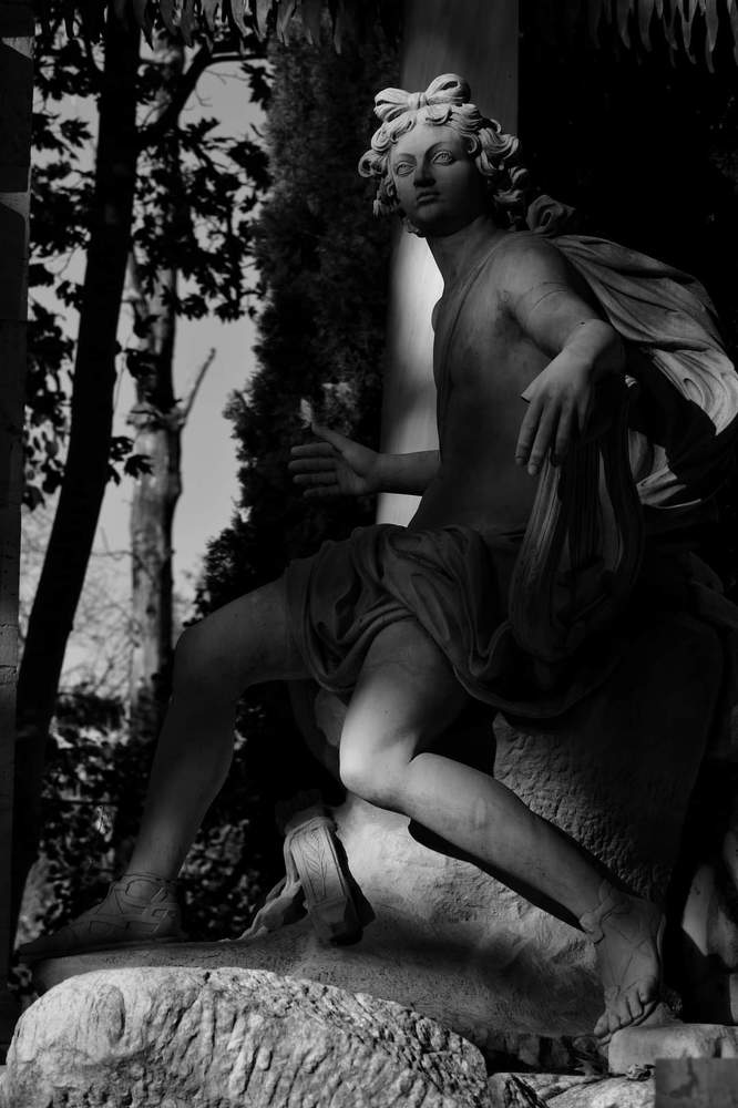 Photograph by Julio Medina