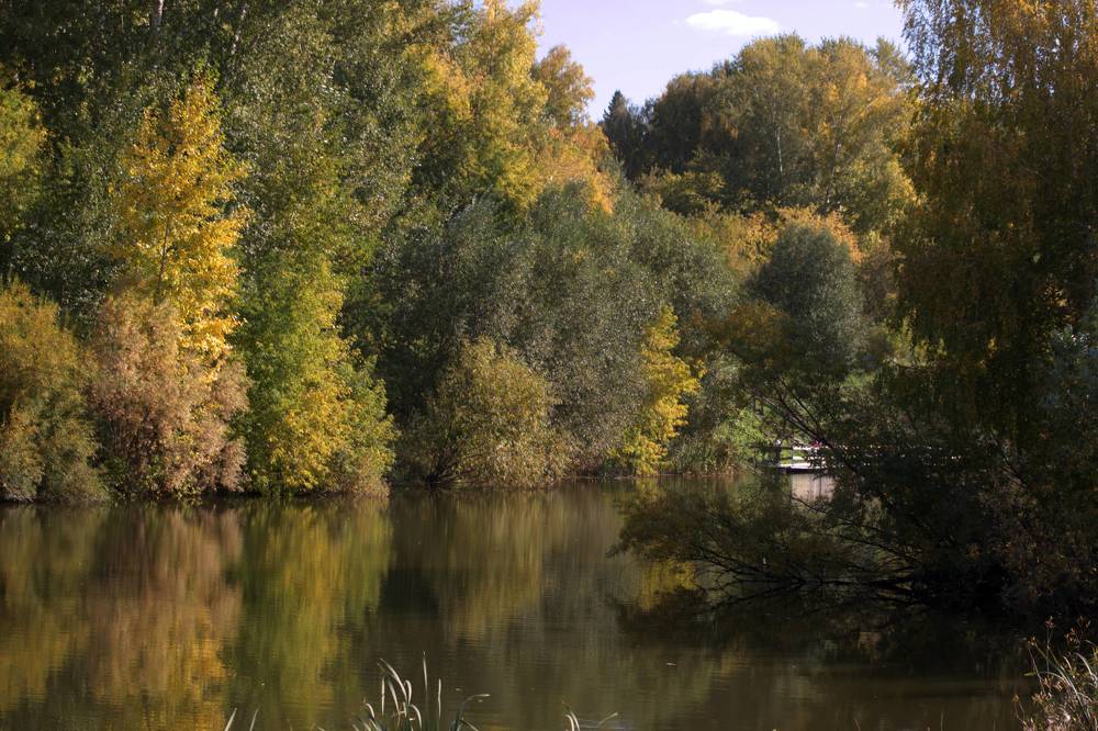 Photograph by Ирина Вассерлауф