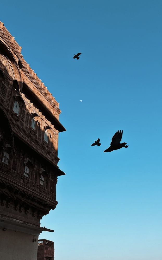 Photograph by Kanhaiya lal Yadav