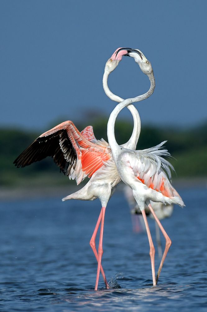 Photograph by Benjamine Dharashan