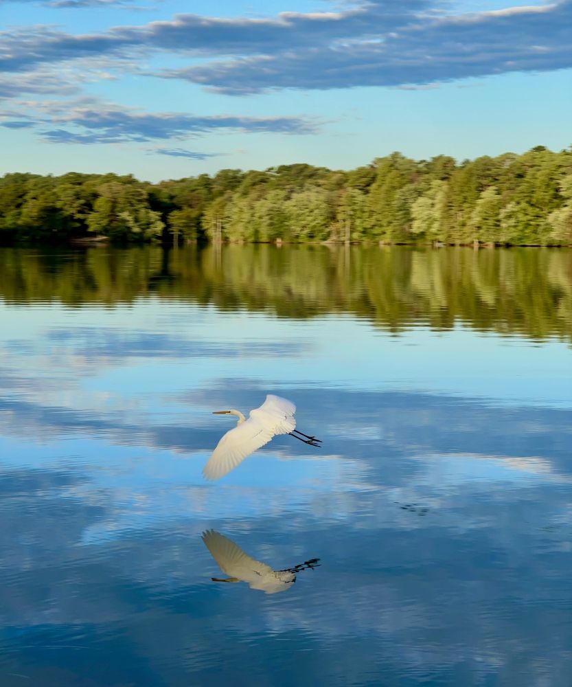 Фотография автора Veera Holdai