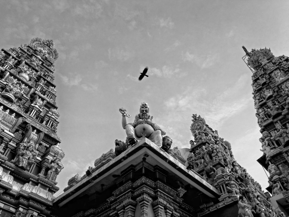 Photograph by Benjamine Dharashan