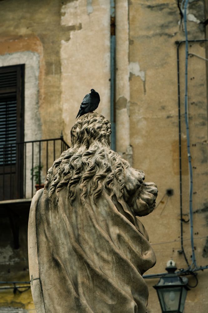 Photograph by Alena Solomonova