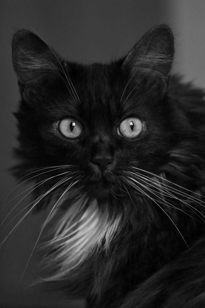 Фотография автора Игорь Ефремычев