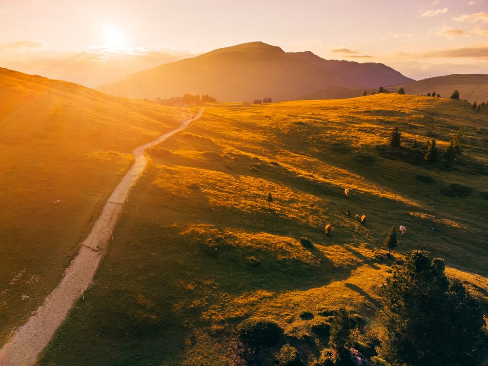 Photograph by Tomislav Safundžić