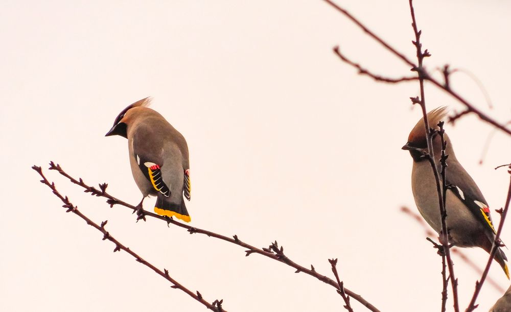 Photograph by Юлия Закопайло