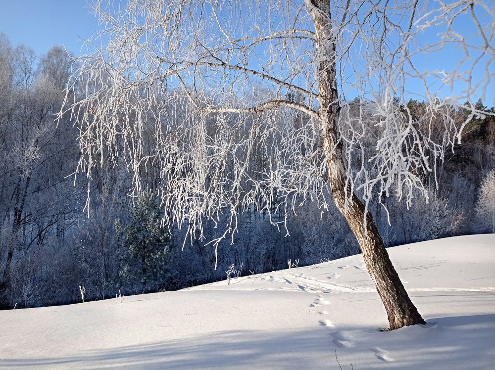 Иней у ручья