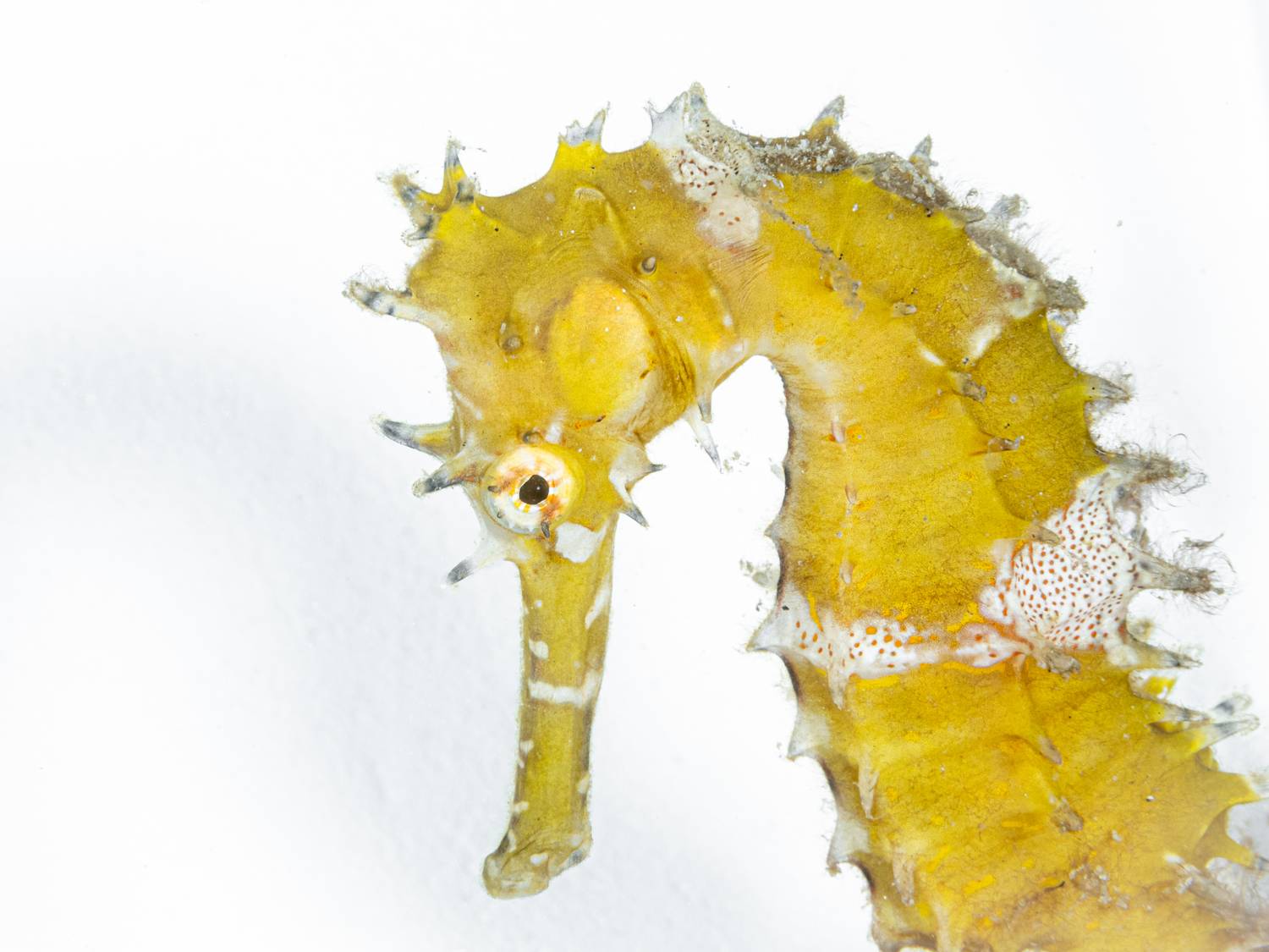 Фотография #8915630