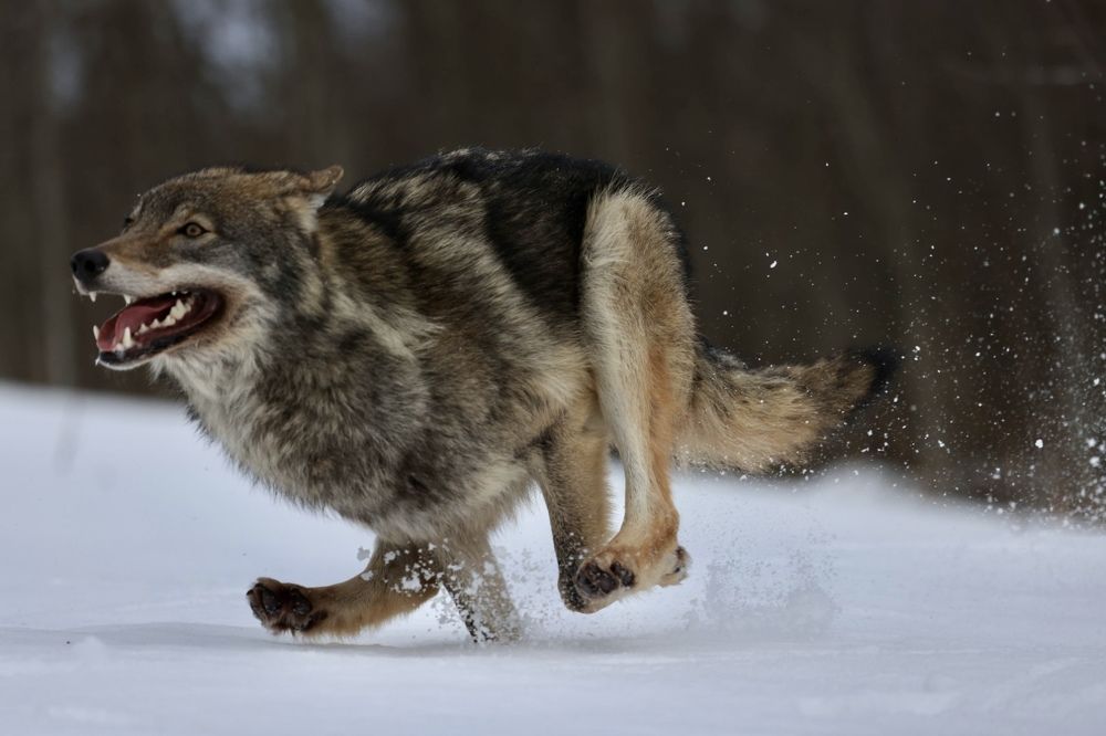 Photograph by Ольга Одаренко