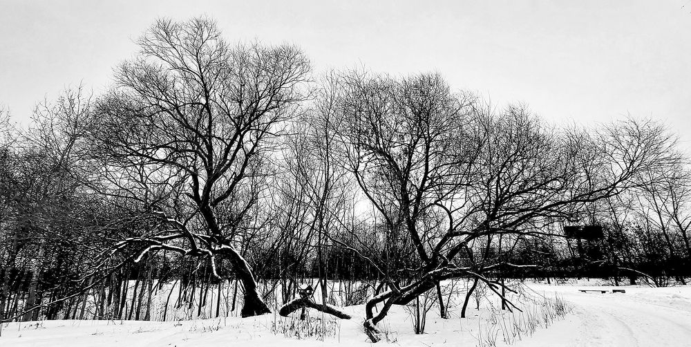 Photograph by Владимир Баулин