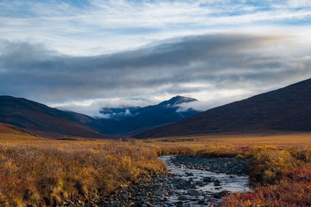 Краски осени