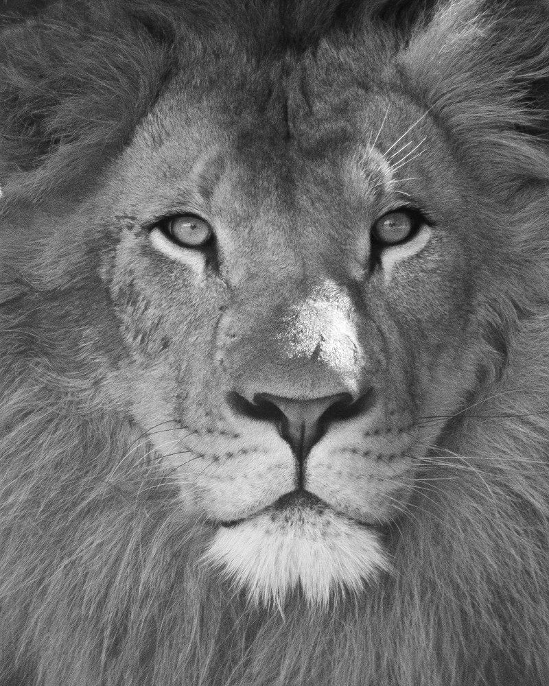 Photograph by Ricardo Venerando