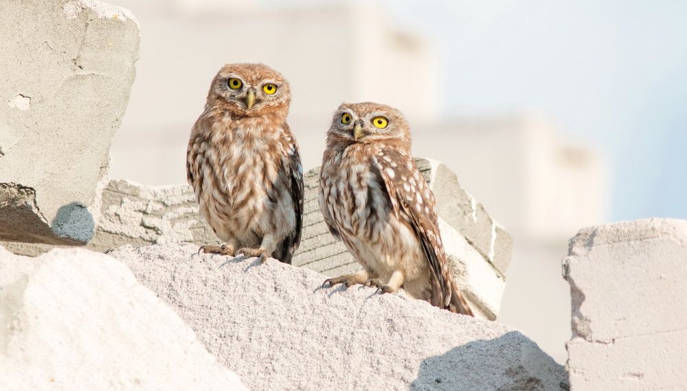 Photograph by Александр