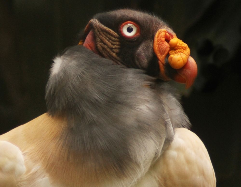 Photograph by Ricardo Venerando