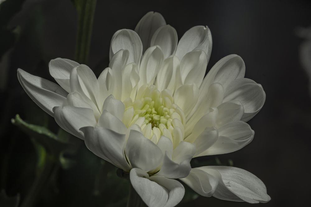 Photograph by 