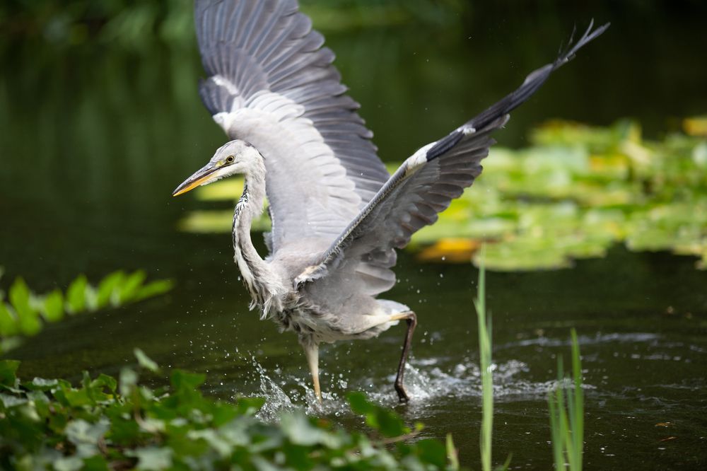 Photograph by Tatiana Kurilas