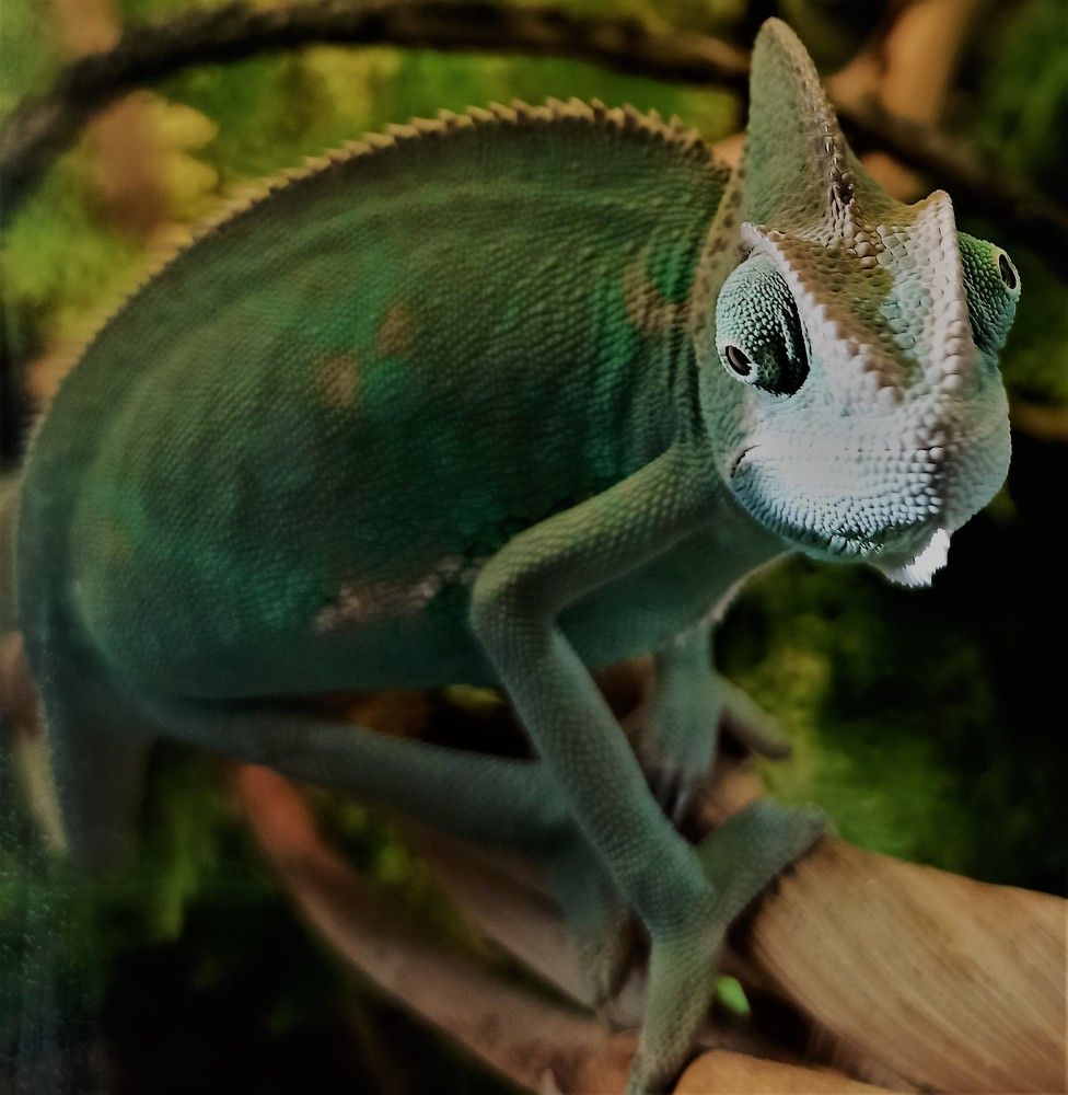 Photograph by Сергей Лобозов