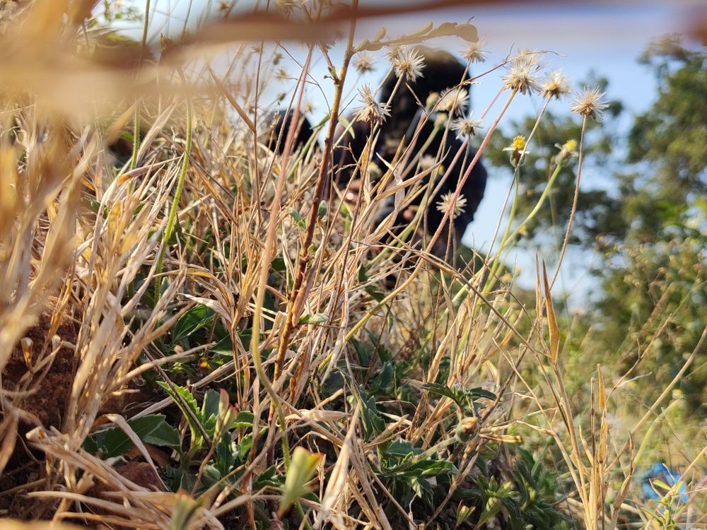 Photo #8915836