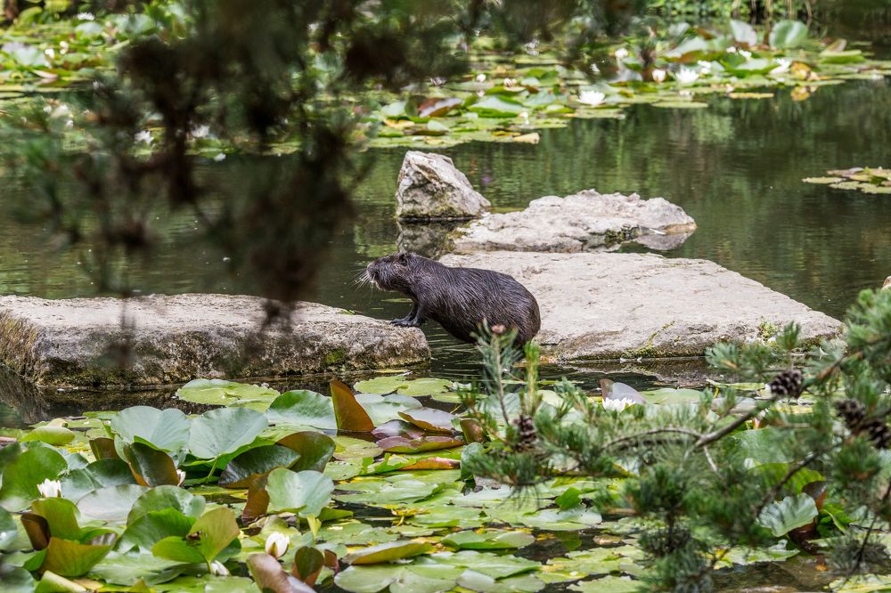 Photograph by Tatiana Kurilas