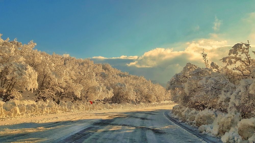 Photograph by Mohammadzaher Mohyadini