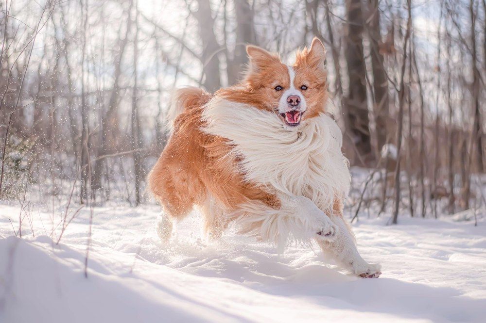 Photograph by Noelle Deskins