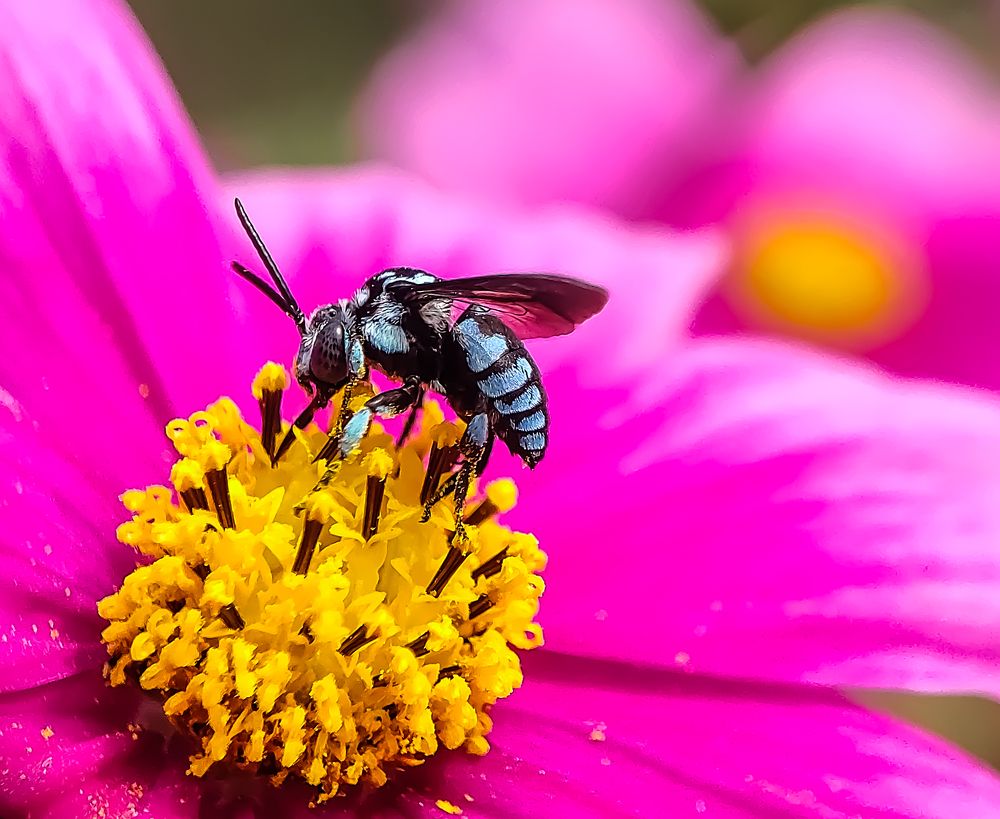 Photograph by Abhipratim Manna