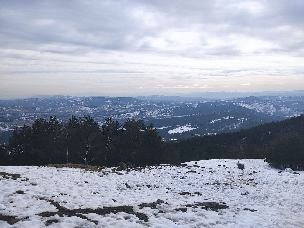 Фотография автора Danica Utjesinovic