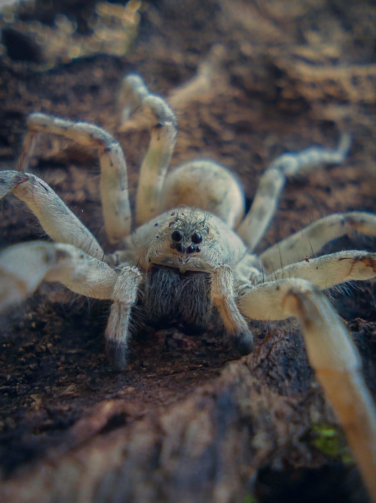 Photograph by Юрий Говорков