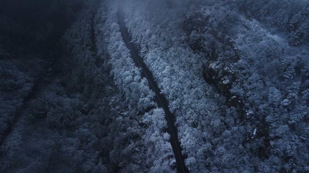 Фотография автора Lyuboslav Bochev