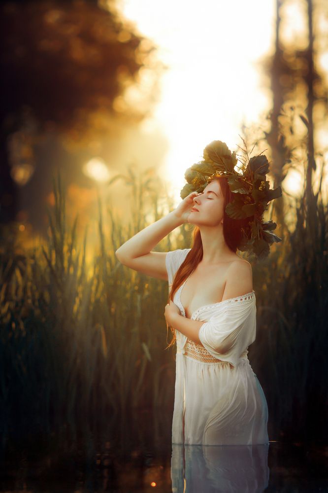 Фотография автора Георгий Шамков