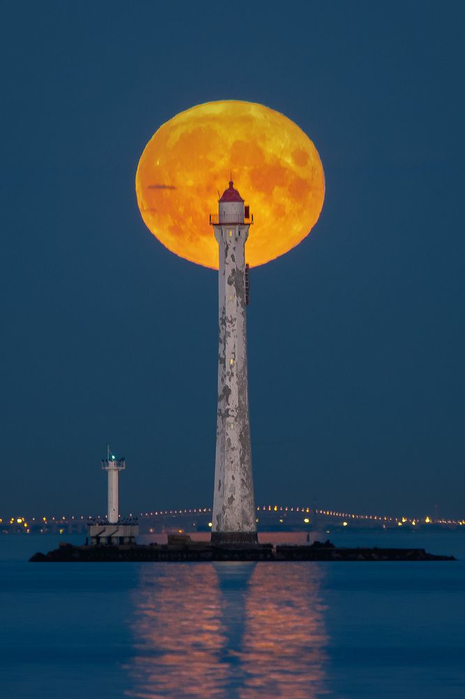 Photograph by Михаил Азаров