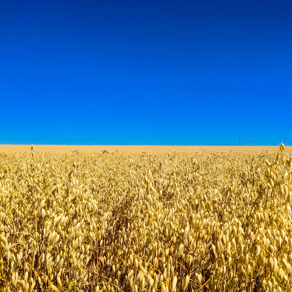 Photograph by Ишниязов Марсель