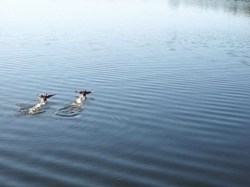 Photograph by Елена Руднева