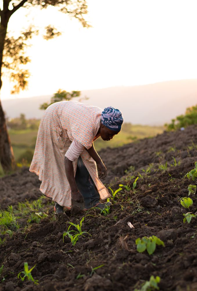 Photograph by Lungisani