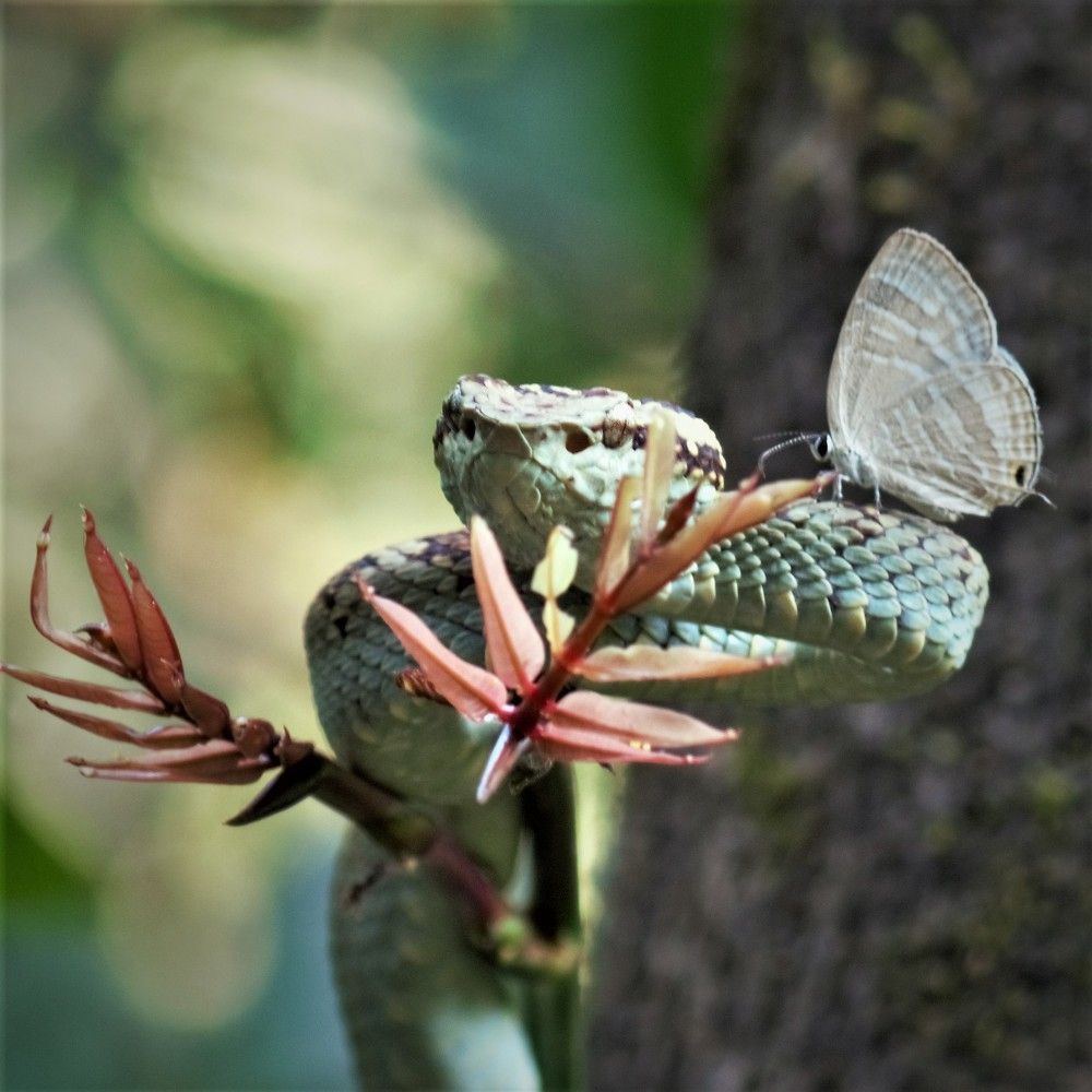 Photograph by Nikhil Joshi