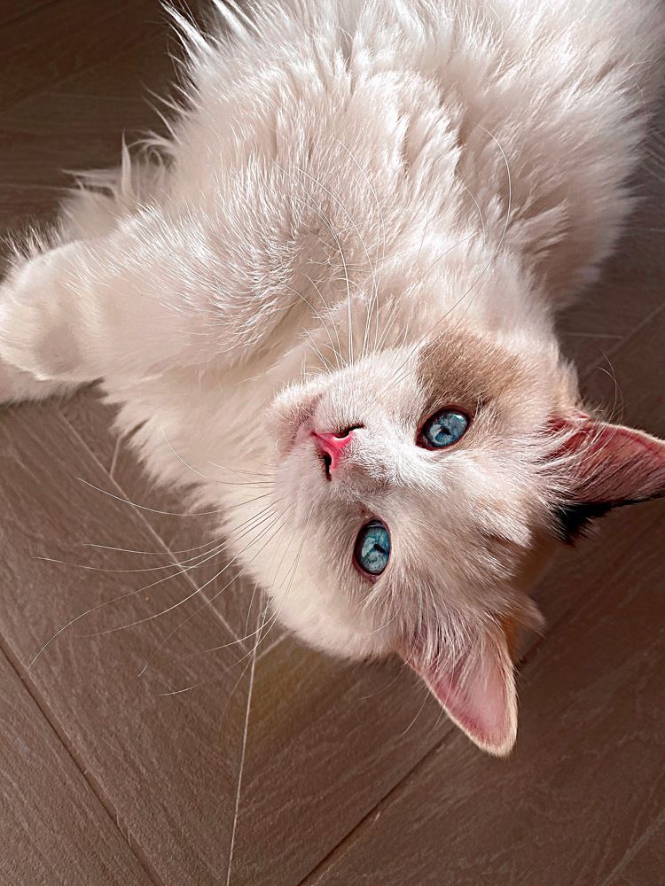 Photograph by Ксения Орлова