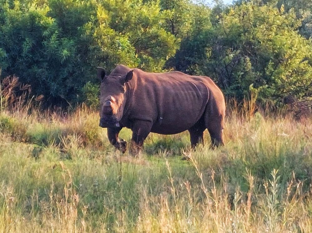 Photograph by Olgafotoos