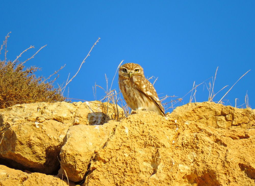 Photograph by Klara Leonenko