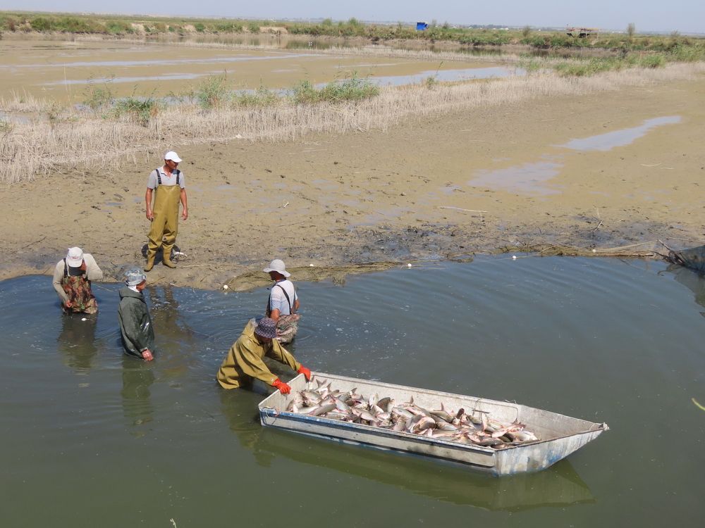 Photograph by Фотима Абдурахманова