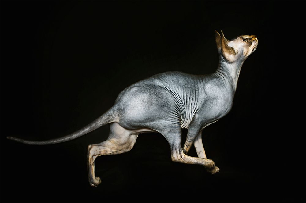 Photograph by Майя Ленская