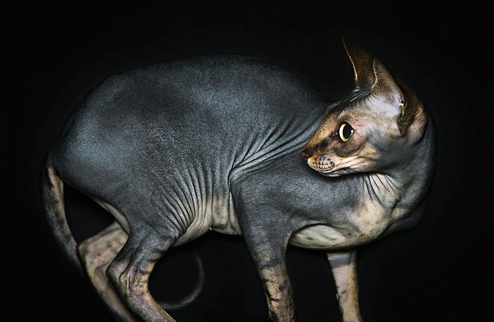 Photograph by Майя Ленская