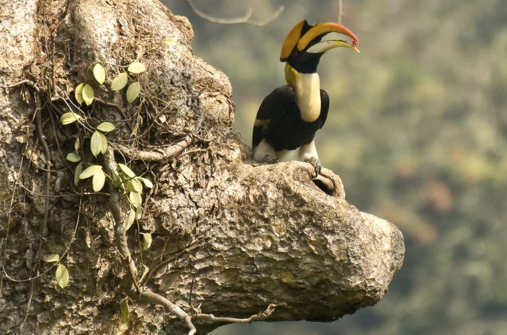 Photograph by bhavesh babre