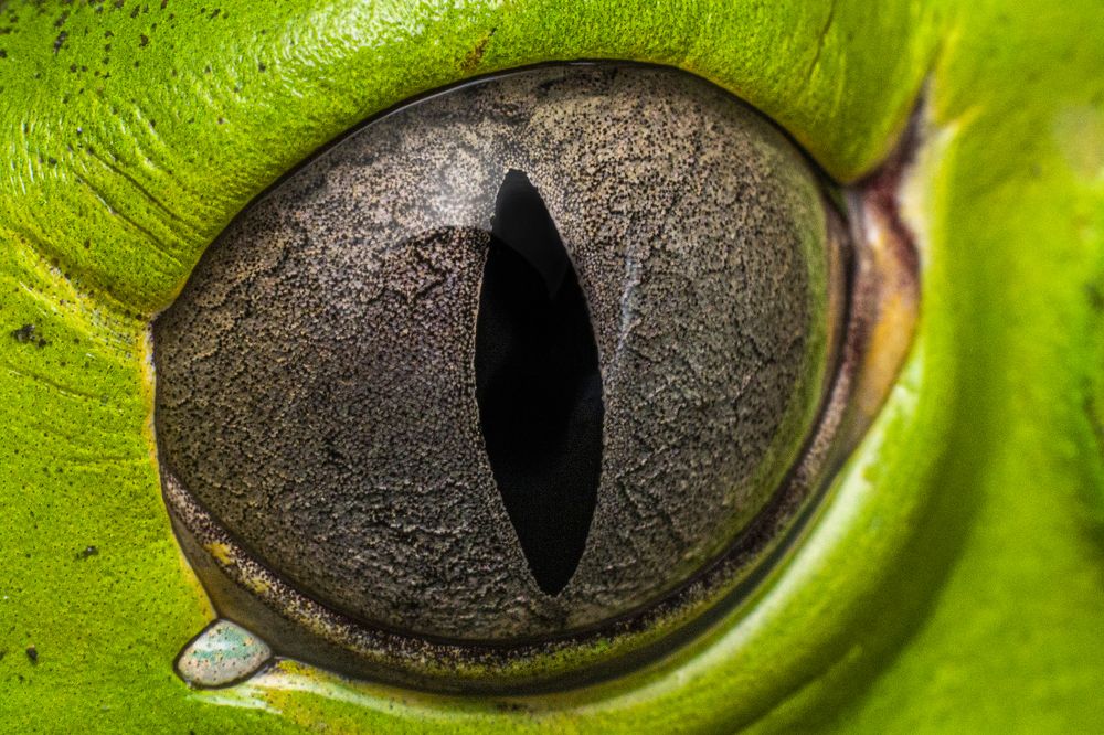 Photograph by Santiago Varela