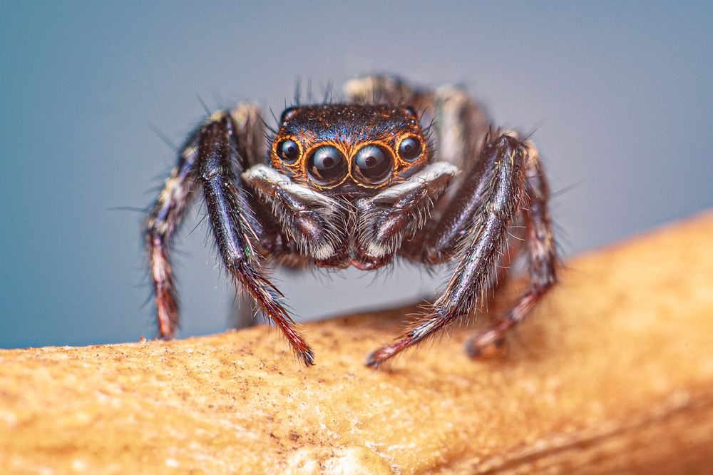 Photograph by Santiago Varela