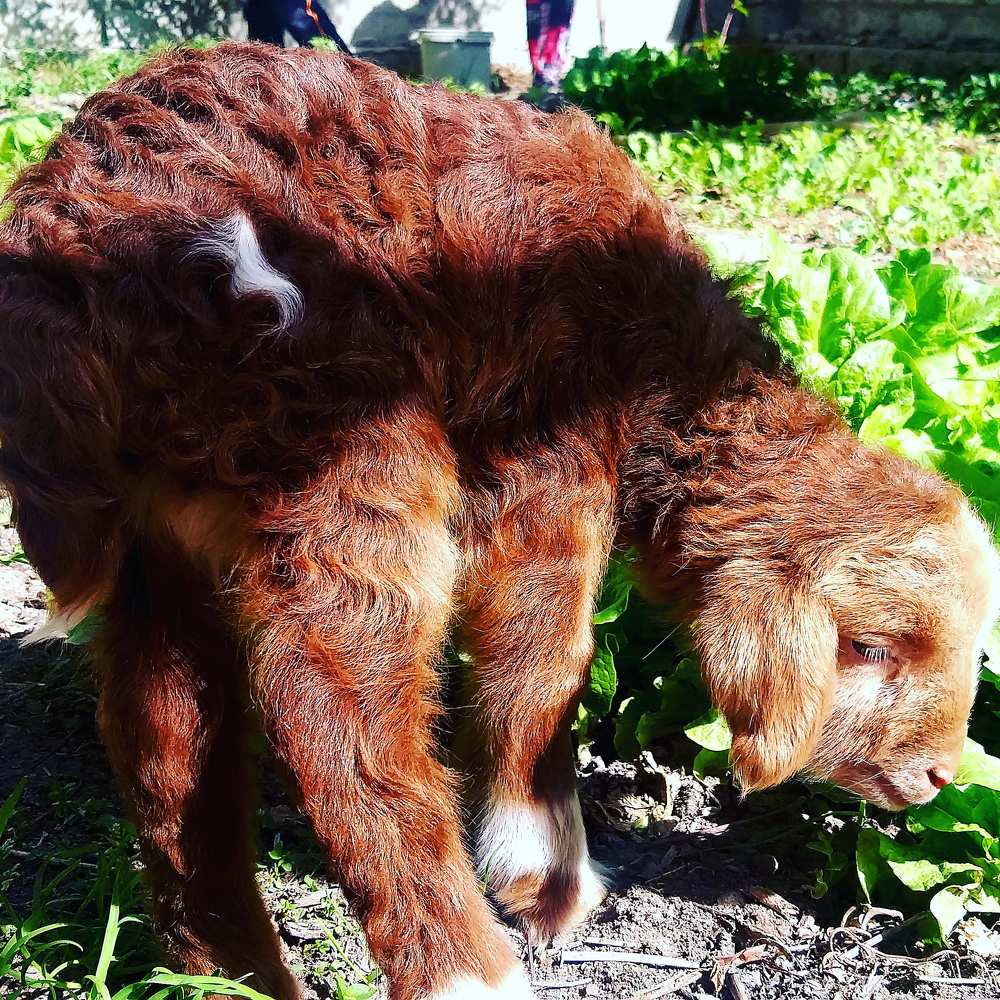 Photograph by Ali Rehmat