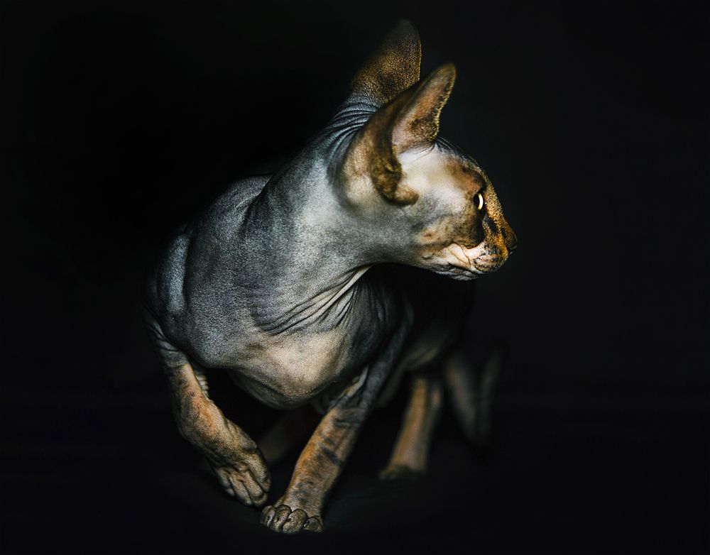 Photograph by Майя Ленская